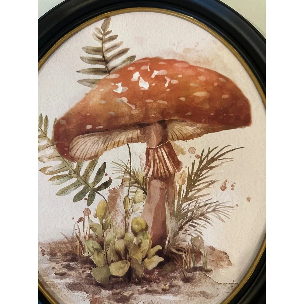Hobby Lobby Mushroom/Fungi Framed Wall Art Red Amanita Botanical Decor 14x12